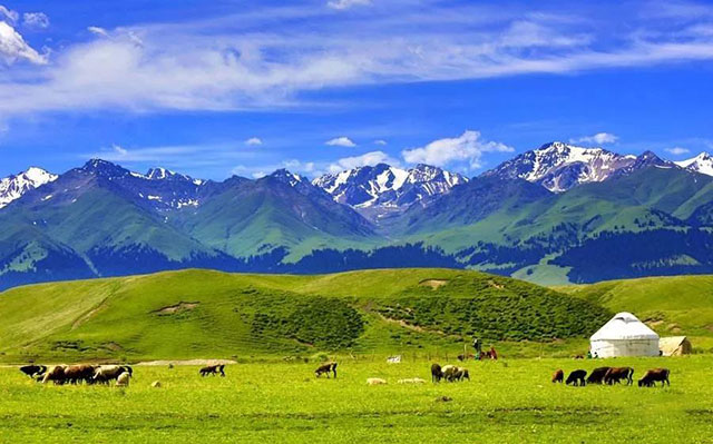 国产福利91精品一区二区三区