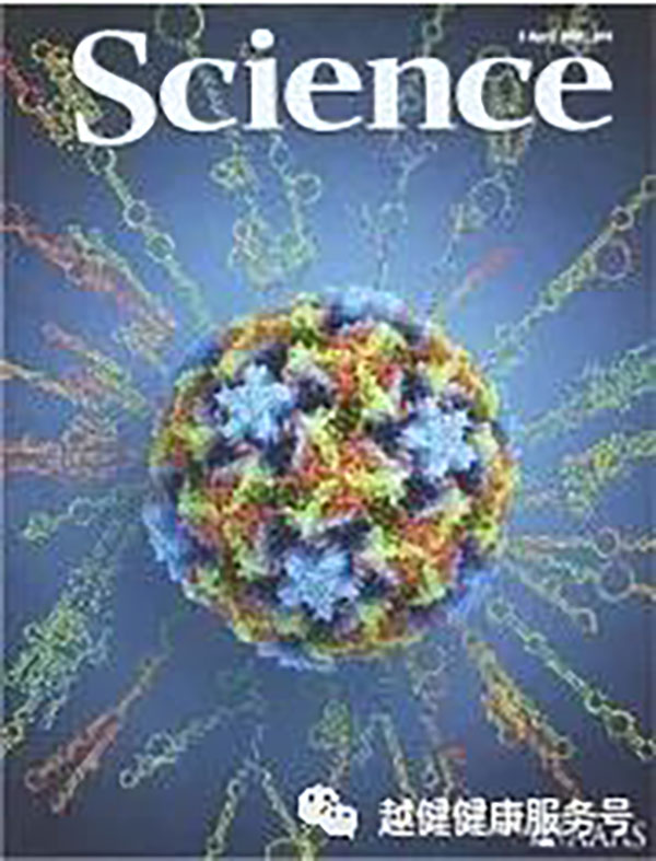 国产福利91精品一区二区三区