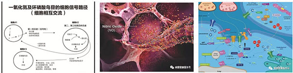 国产福利91精品一区二区三区