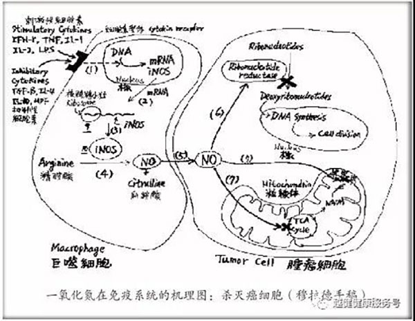 国产福利91精品一区二区三区