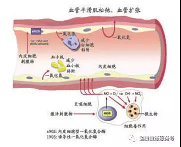 国产福利91精品一区二区三区