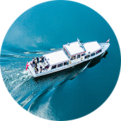 国产福利91精品一区二区三区