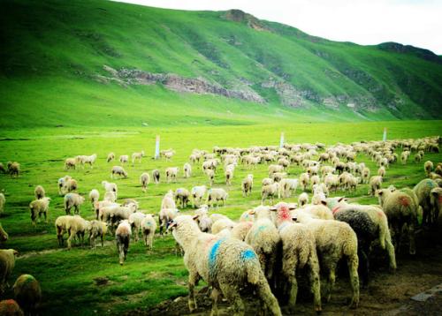 国产福利91精品一区二区三区