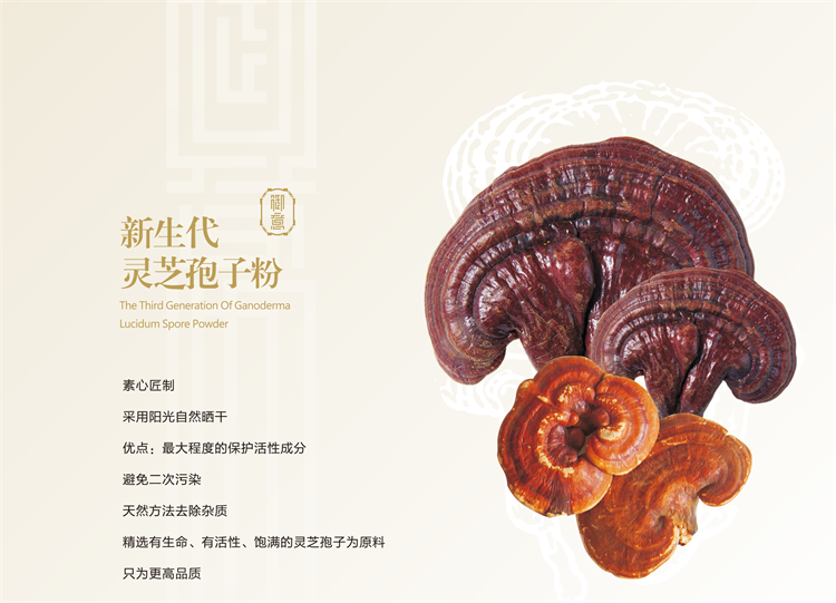 国产福利91精品一区二区三区