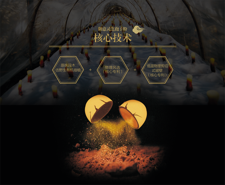 国产福利91精品一区二区三区