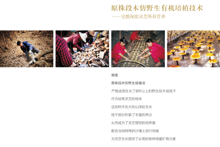 国产福利91精品一区二区三区