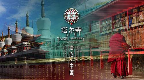 国产福利91精品一区二区三区