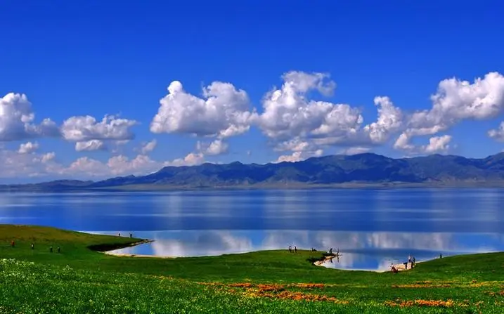 国产福利91精品一区二区三区