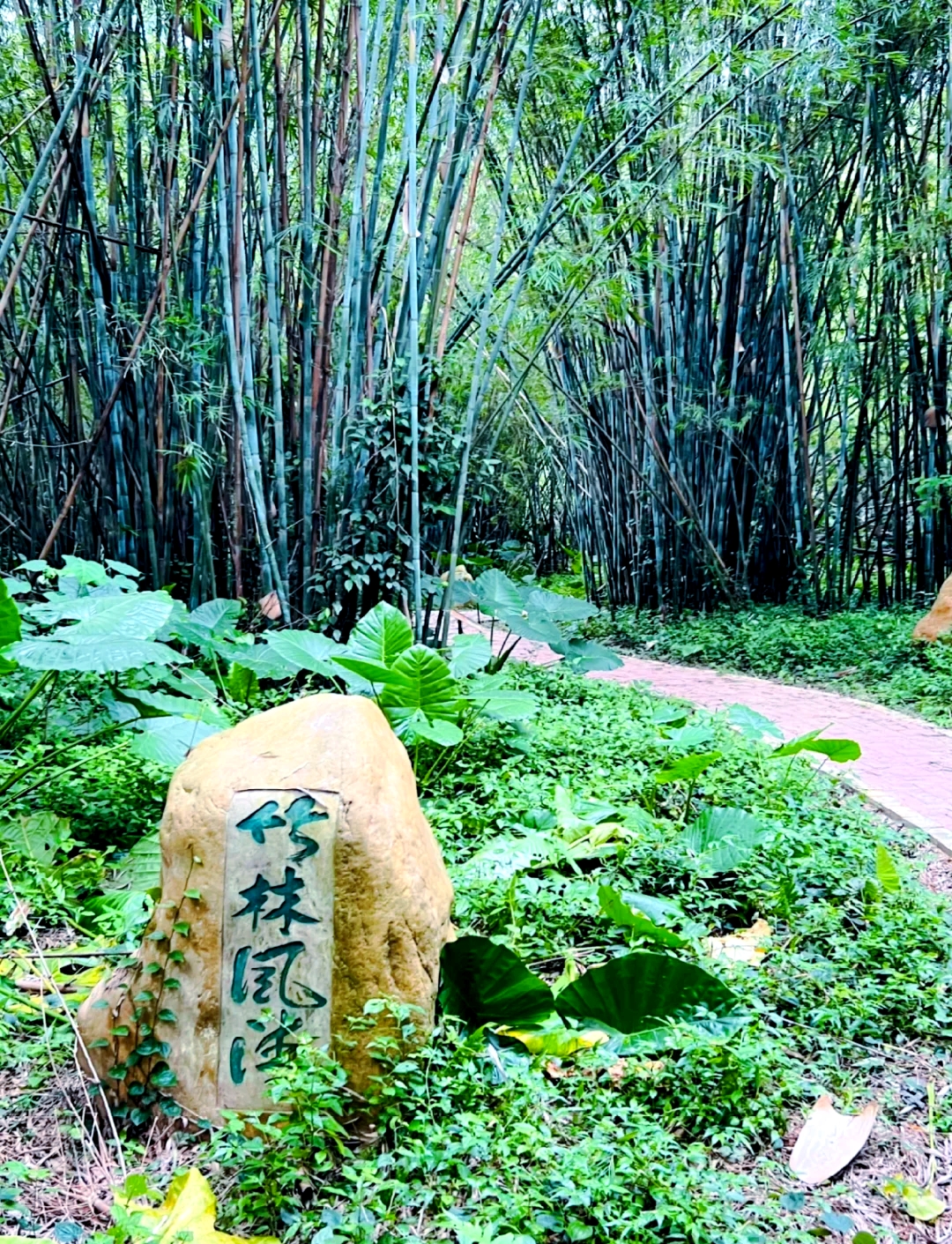 国产福利91精品一区二区三区