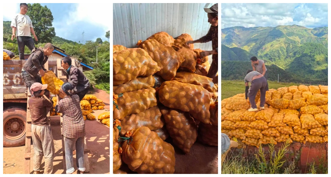 国产福利91精品一区二区三区