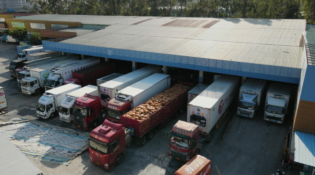 国产福利91精品一区二区三区