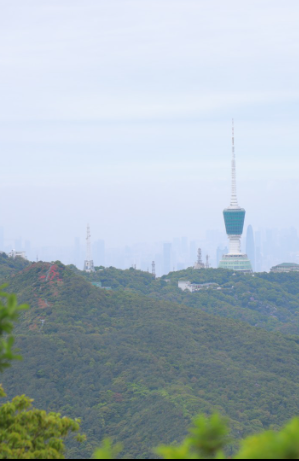 国产福利91精品一区二区三区