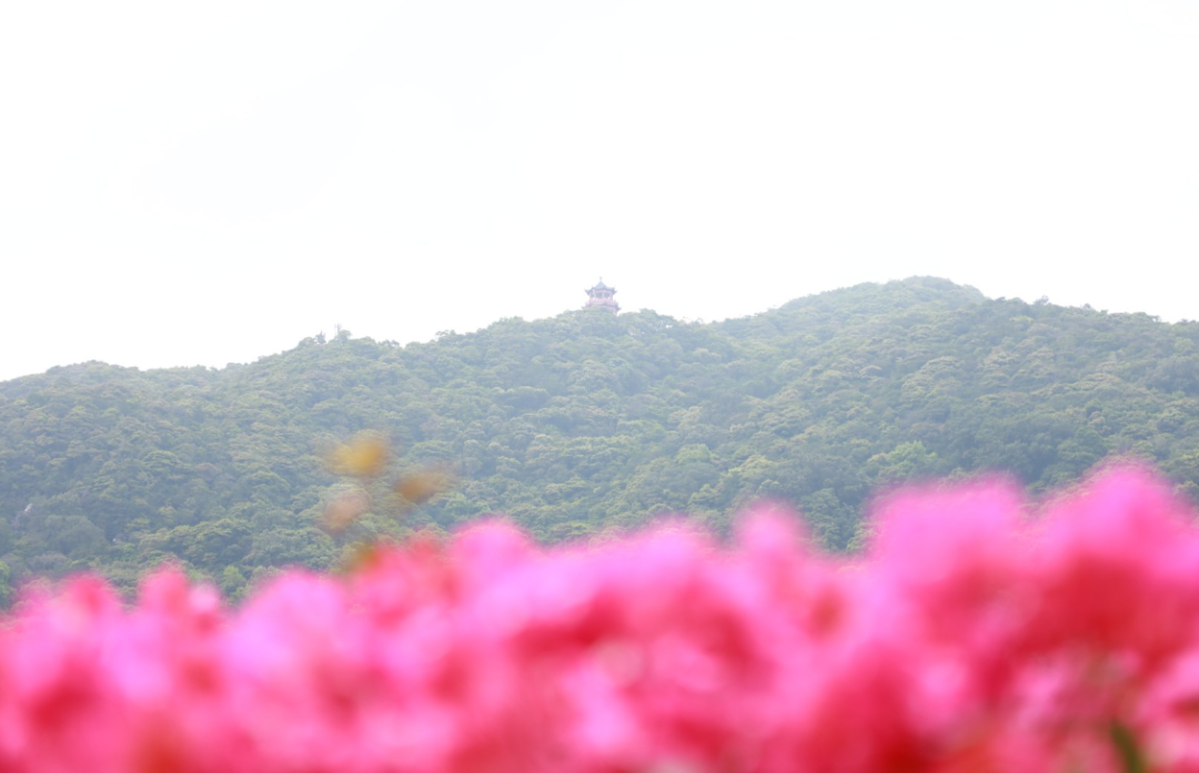 国产福利91精品一区二区三区